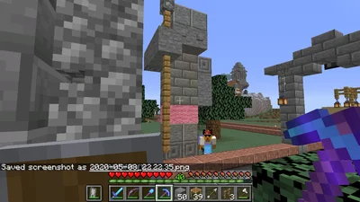 minecraft_2020-05-08_22.22.40.png