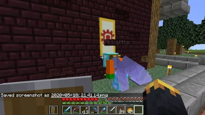 minecraft_2020-05-18_21.41.17.png