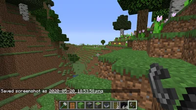 minecraft_2020-05-20_18.53.59.png