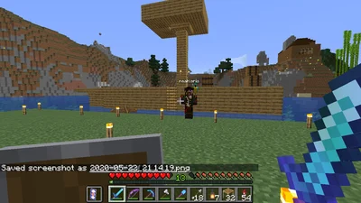 minecraft_2020-05-22_21.14.21.png