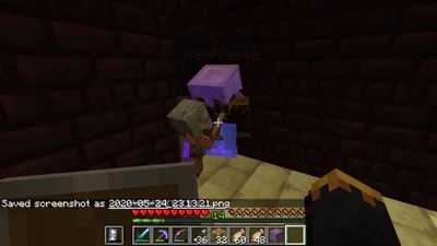 minecraft_2020-05-24_23.13.22.png
