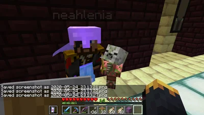 minecraft_2020-05-24_23.13.28.png