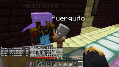minecraft_2020-05-24_23.13.29.png