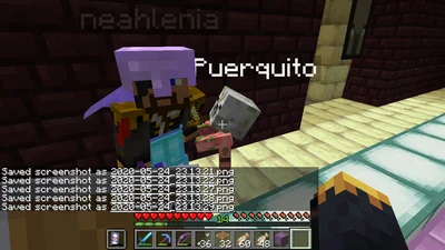 minecraft_2020-05-24_23.13.30.png