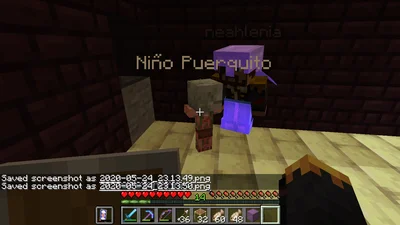 minecraft_2020-05-24_23.13.51.png