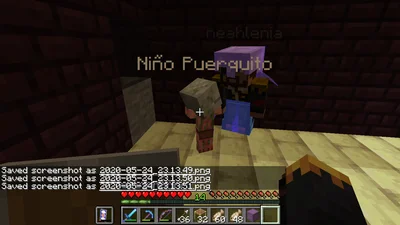 minecraft_2020-05-24_23.13.52.png