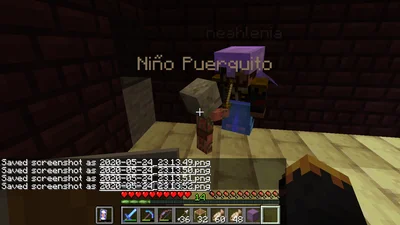 minecraft_2020-05-24_23.13.53.png