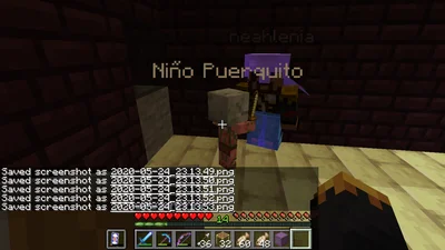 minecraft_2020-05-24_23.13.53_2.png