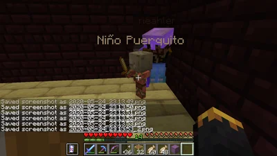 minecraft_2020-05-24_23.13.59.png