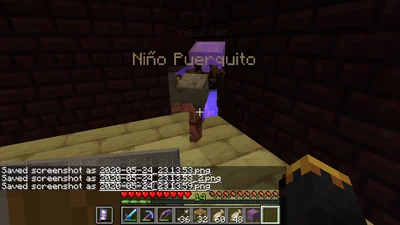 minecraft_2020-05-24_23.14.02.png
