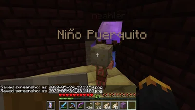 minecraft_2020-05-24_23.14.05.png