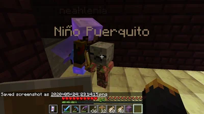 minecraft_2020-05-24_23.14.15_2.png