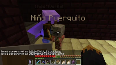 minecraft_2020-05-24_23.14.17.png