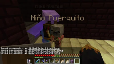 minecraft_2020-05-24_23.14.18.png