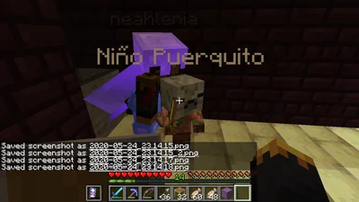 minecraft_2020-05-24_23.14.19.png