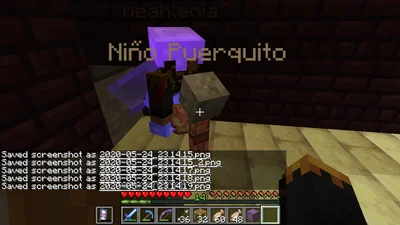 minecraft_2020-05-24_23.14.23.png