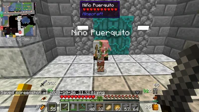 minecraft_2020-10-26_21.32.04.png