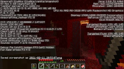 minecraft_2021-02-11_20.53.08.png