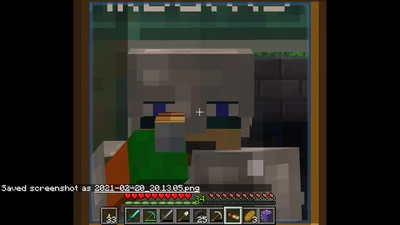 minecraft_2021-02-20_20.13.08.png