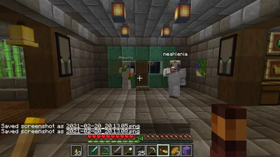 minecraft_2021-02-20_20.13.14.png
