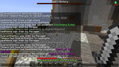 minecraft_2021-02-22_19.49.17.png