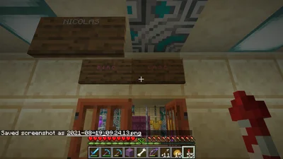 minecraft_2021-08-19_09.24.15.png