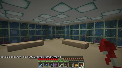 minecraft_2021-08-19_09.24.50.png