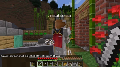 minecraft_2022-04-30_17.27.42.png