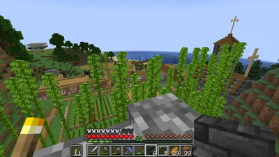 minecraft_2022-04-30_23.56.15.png