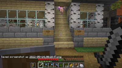 minecraft_2022-05-14_00.10.48.png