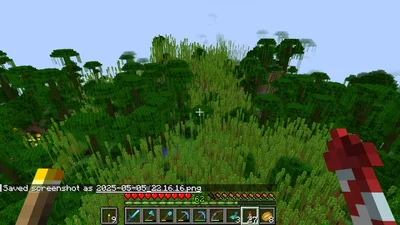 minecraft_2025-05-05_22.16.17.png