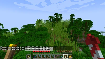 minecraft_2025-05-05_22.16.18.png