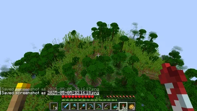 minecraft_2025-05-05_22.16.27.png