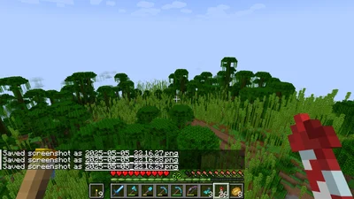 minecraft_2025-05-05_22.16.34.png