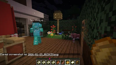 minecraft_2026-01-29_08.55.03.png